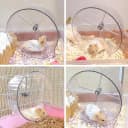 Silent Hamster Exercise Wheel,9.5 Inch Quiet Spinner Syrian Hamster Running Wheel