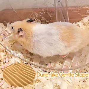 Silent Hamster Exercise Wheel,9.5 Inch Quiet Spinner Syrian Hamster Running Wheel — collection imagery
