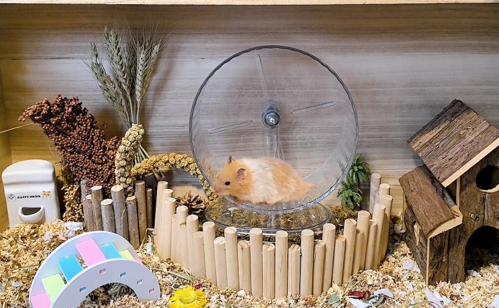 Silent Hamster Exercise Wheel,9.5 Inch Quiet Spinner Syrian Hamster Running Wheel — product details