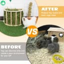 Wooden Guinea Pig Hay Feeder — Large Hanging Rabbit Rack