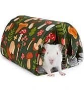 Wooden Guinea Pig Hay Feeder — Large Hanging Rabbit Rack — collection imagery