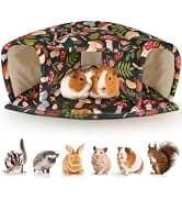 Wooden Guinea Pig Hay Feeder — Large Hanging Rabbit Rack — collection imagery