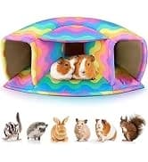 Wooden Guinea Pig Hay Feeder — Large Hanging Rabbit Rack — collection imagery
