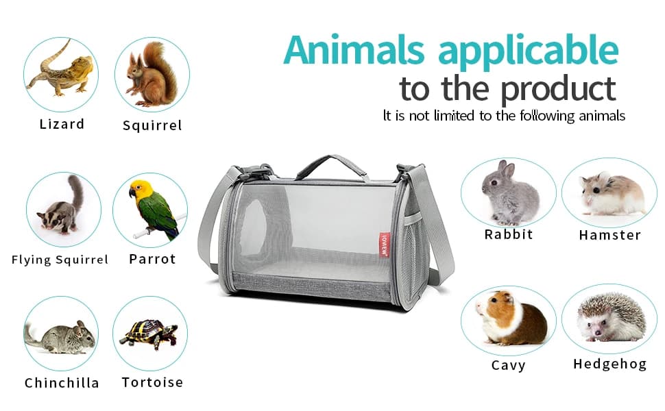 Guinea Pig Carrier Travel — Small Animal Carrier Bag Lizard Bird Rabbit Carrier Cage Squirrel Breathable Bag — Suited to pet display