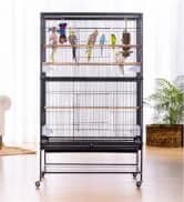 9-Rung Wood Bird Ladder — Foot Exercise Beak Use — collection imagery