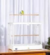 9-Rung Wood Bird Ladder — Foot Exercise Beak Use — collection imagery