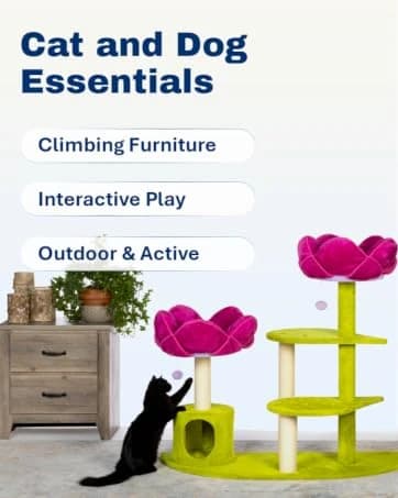 9-Rung Wood Bird Ladder — Foot Exercise Beak Use — collection imagery