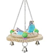 Bird Swing Colorful Rope Perch Climbing Toy for Parrots (M 10.4inch) — collection imagery