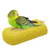 Bird Swing Colorful Rope Perch Climbing Toy for Parrots (M 10.4inch) — collection imagery