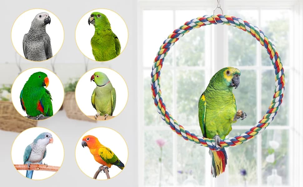 Bird Swing Colorful Rope Perch Climbing Toy for Parrots (M 10.4inch) — product details