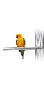 Bird Swing Colorful Rope Perch Climbing Toy for Parrots (M 10.4inch) — product details