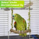 Natural Wood Bird Swing Perch with Decorative Leaves