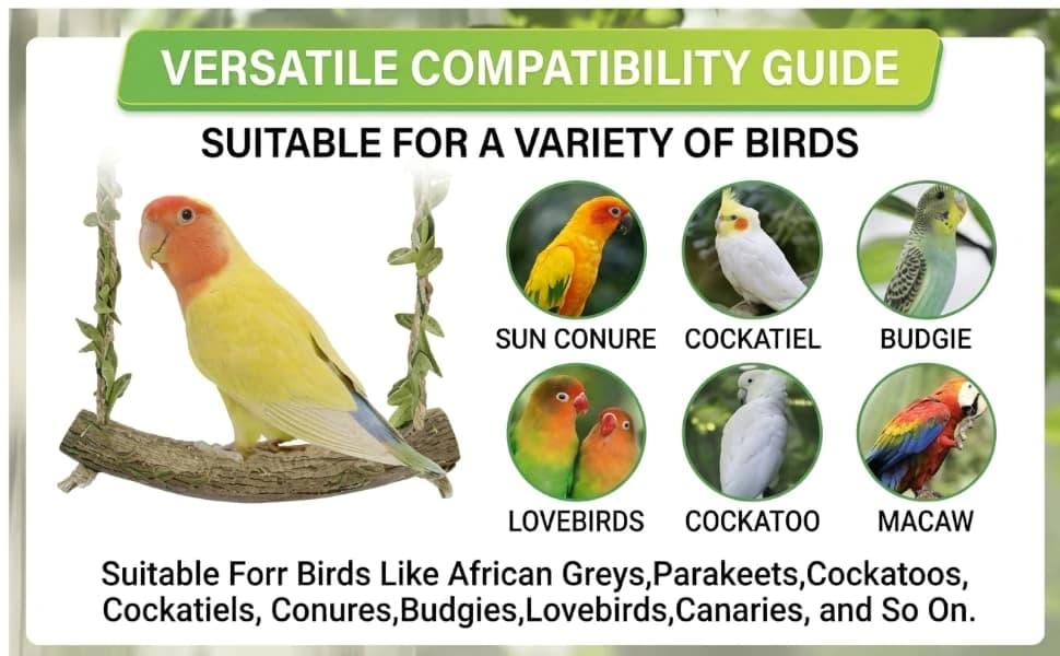 Natural Wood Bird Swing Perch with Decorative Leaves — One Swing — Many Friends | The Perfect Fit for Various Bird Species