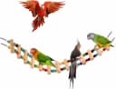 Wooden Bird Ladder Bridge — Hanging Exercise Toy