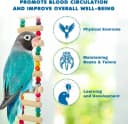 Wooden Bird Ladder Bridge — Hanging Exercise Toy