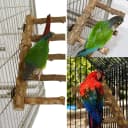 Bird Parrot Ladder Perch for Cage — Nature Wooden Bird Bridge Exercise Stands Parrot Climbing Chewing Toys for