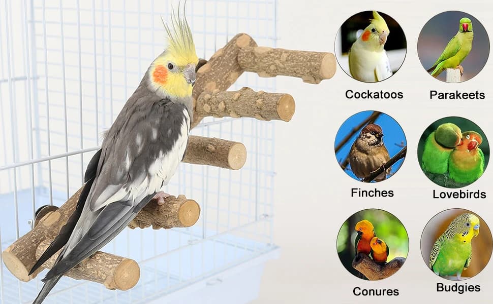 Bird Parrot Ladder Perch for Cage — Nature Wooden Bird Bridge Exercise Stands Parrot Climbing Chewing Toys for — Your Bird's Favorite Wooden Ladder Bridge