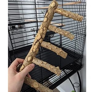 Bird Parrot Ladder Perch for Cage — Nature Wooden Bird Bridge Exercise Stands Parrot Climbing Chewing Toys for — collection imagery