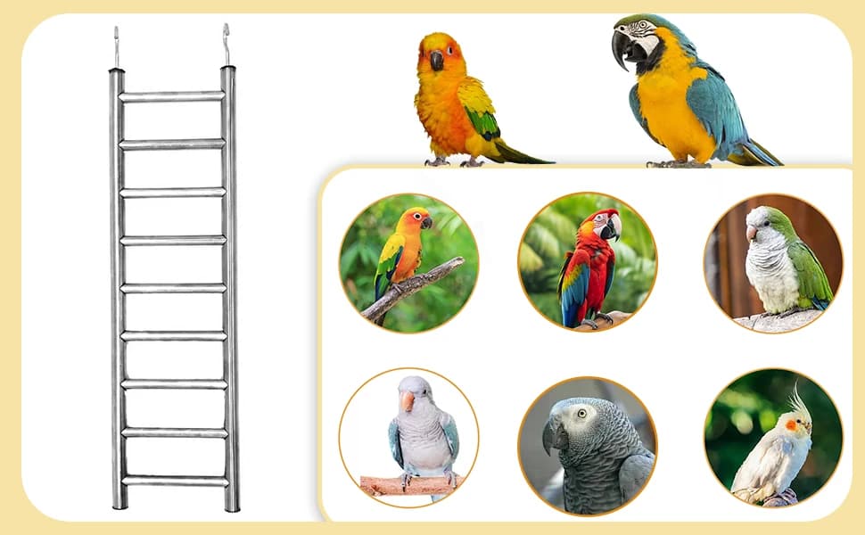 2Pack Stainless Steel Bird Ladders 9-Step Parrot Ladder Hanging Bird Cage Climbing Toys with Hooks Birds — product details