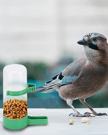 4Pcs Bird Water Feeder Plastic Drinker Feeder Water Clip for Parrots Budgie Cockatiel Lovebirds — collection imagery