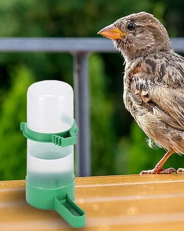 4Pcs Bird Water Feeder Plastic Drinker Feeder Water Clip for Parrots Budgie Cockatiel Lovebirds — collection imagery