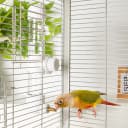 7.4 Fl Oz No Mess Bird Water Dispenser