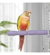 7.4 Fl Oz No Mess Bird Water Dispenser — collection imagery