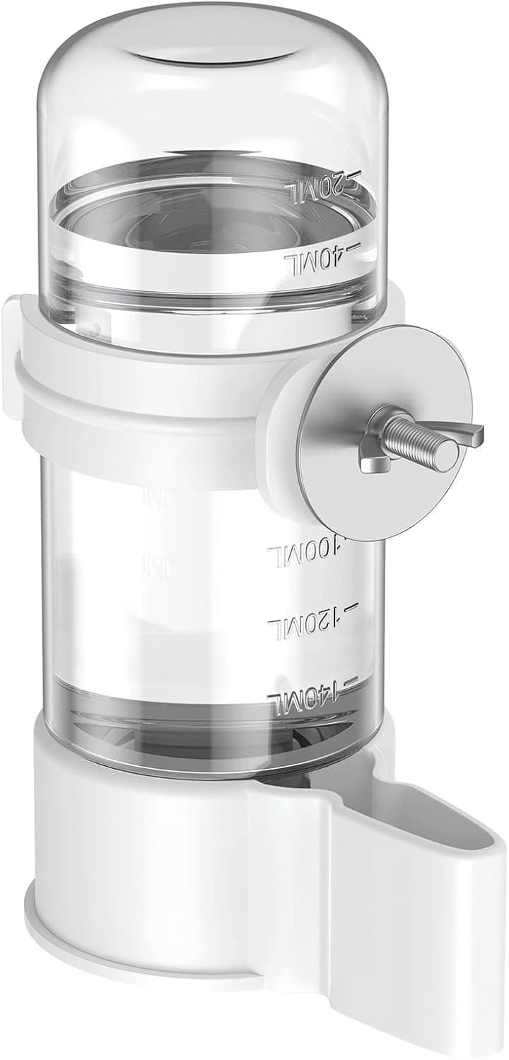 Bird Water Dispenser — Automatic Water Feeder