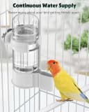 Bird Water Dispenser — Automatic Water Feeder