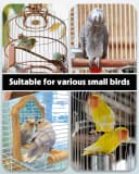 Bird Water Dispenser — Automatic Water Feeder