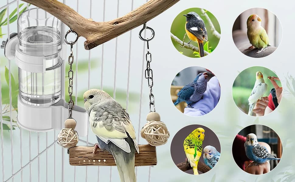 Bird Water Dispenser — Automatic Water Feeder — product details
