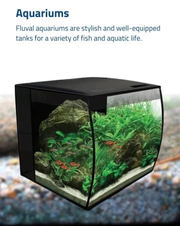 FX6 High Performance Aquarium Filter — up to 400 Gal. — collection imagery