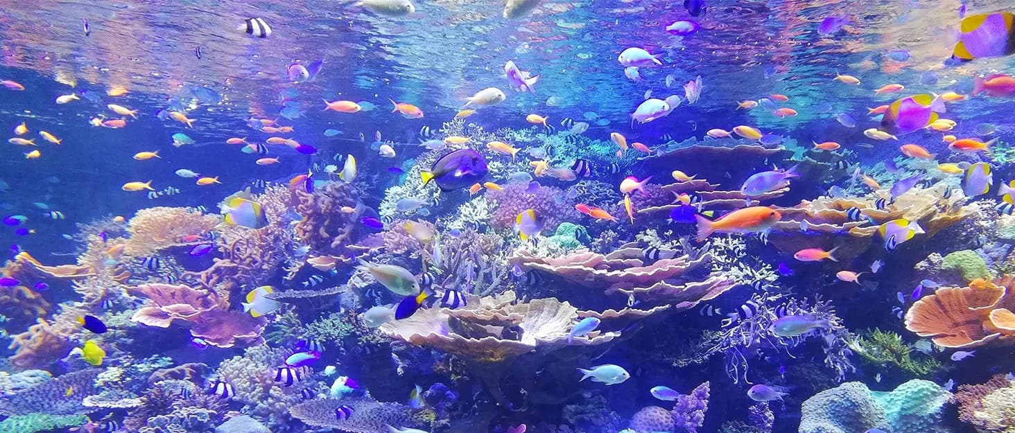 Aquarium Air Pump Commercial Air Pump with Aluminum Housing — collection imagery