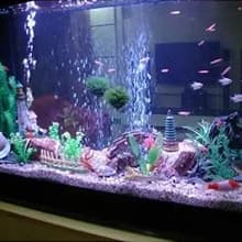 Aquarium Air Pump Commercial Air Pump with Aluminum Housing — Extensive Use