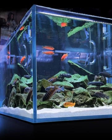 Nano Silent Aquarium Air Pump — Black — collection imagery