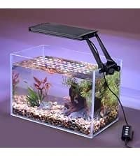 42W 24/7 Lighting Aquarium LED Light — collection imagery