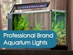 Clip On 24/7 Lighting Aquarium LED Light — Clip On Aquarium LED Light - Installation Variety
