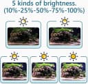 Clip On 24/7 Lighting Aquarium LED Light