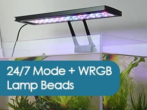 Clip On 24/7 Lighting Aquarium LED Light — Clip On Aquarium LED Light - Installation Variety