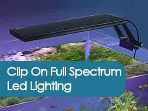 Clip On 24/7 Lighting Aquarium LED Light — Clip On Aquarium LED Light - Installation Variety