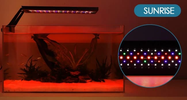 Clip On 24/7 Lighting Aquarium LED Light — Sunrise to Moonlight — Automated 24/7 Lighting
