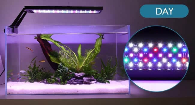Clip On 24/7 Lighting Aquarium LED Light — Sunrise to Moonlight — Automated 24/7 Lighting