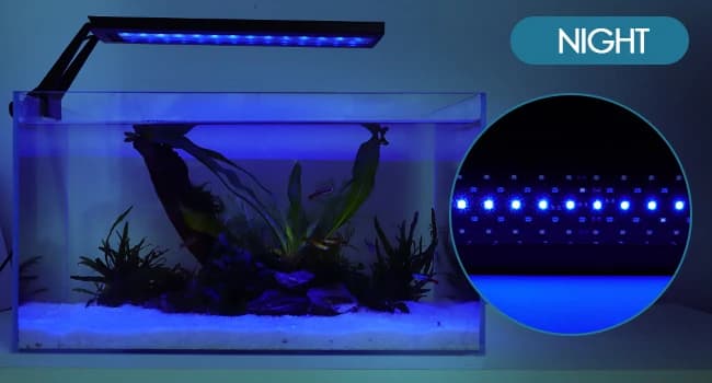 Clip On 24/7 Lighting Aquarium LED Light — 24/7 Mode Key - Moonlight and No light periods