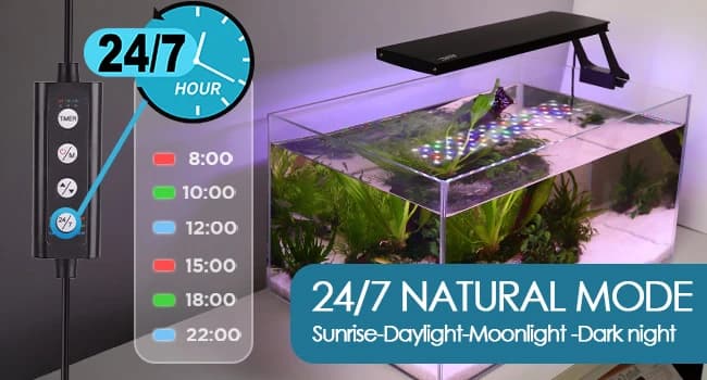 Clip On 24/7 Lighting Aquarium LED Light — 24/7 Mode Key - Moonlight and No light periods
