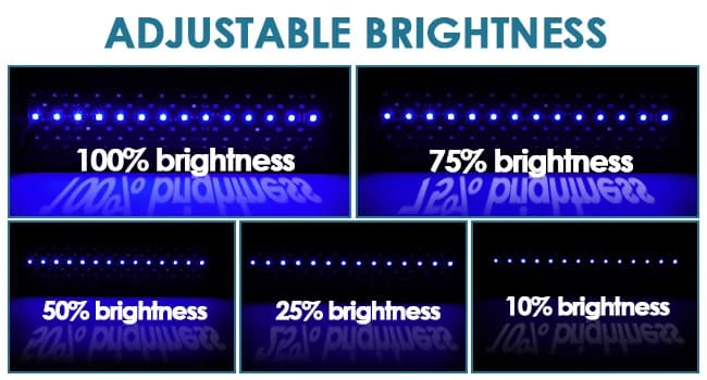 Clip On 24/7 Lighting Aquarium LED Light — AQUARIUM LED LIGHT CONTROLLER (DIY Mode)