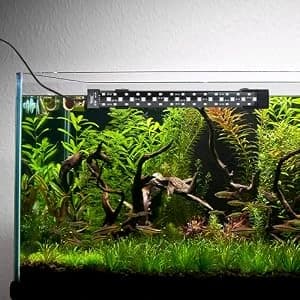 24/7 Mode Submersible Aquarium LED Light — collection imagery