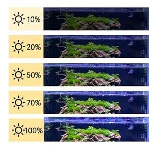24/7 Mode Submersible Aquarium LED Light — collection imagery