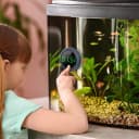 Aquarium Thermometer Digital — Highly Accurate Fish Tank Thermometer