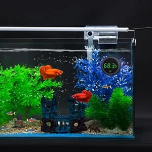 Aquarium Thermometer Digital — Highly Accurate Fish Tank Thermometer — NOTICE: THIS THERMOMETER IS NOT MADE FOR DIVING, DO NOTSUBMERGE IT INTO THE FISH TANK!!!