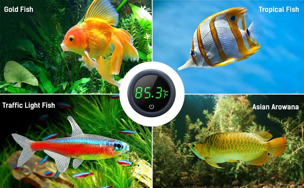 Aquarium Thermometer Digital — Highly Accurate Fish Tank Thermometer — product details